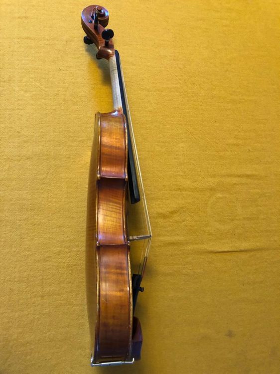 Viola 39,5 cm - Bild4