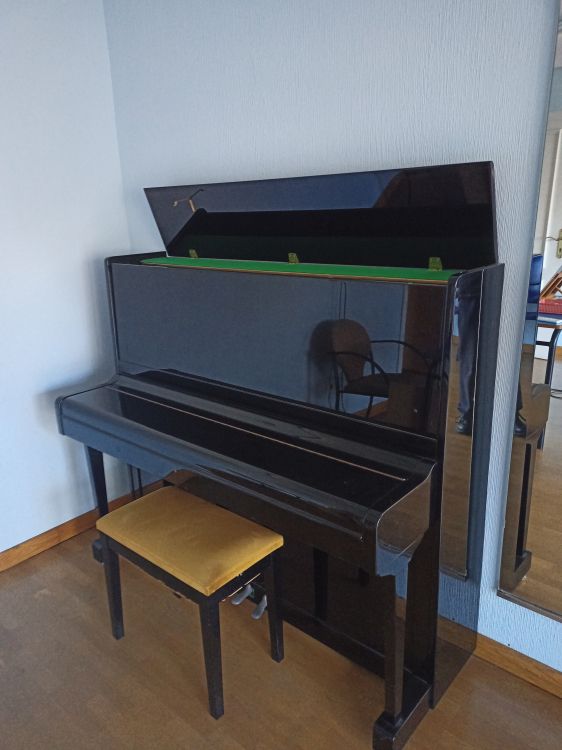 Piano comprado nuevo en el 2000. - Immagine4