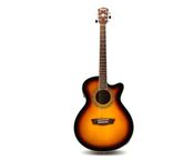 Washburn EA12 - Imagen