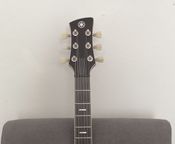 Yamaha Revstar RSS20
 - Immagine