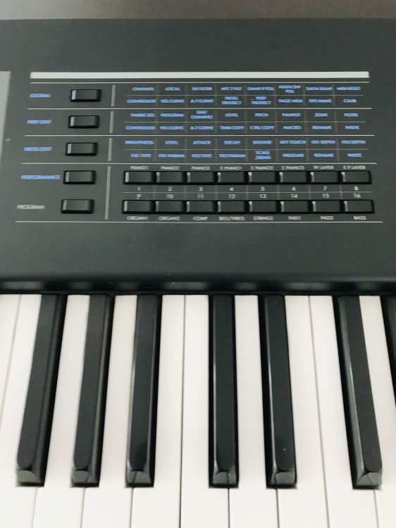 SG Pro X Sounds Market