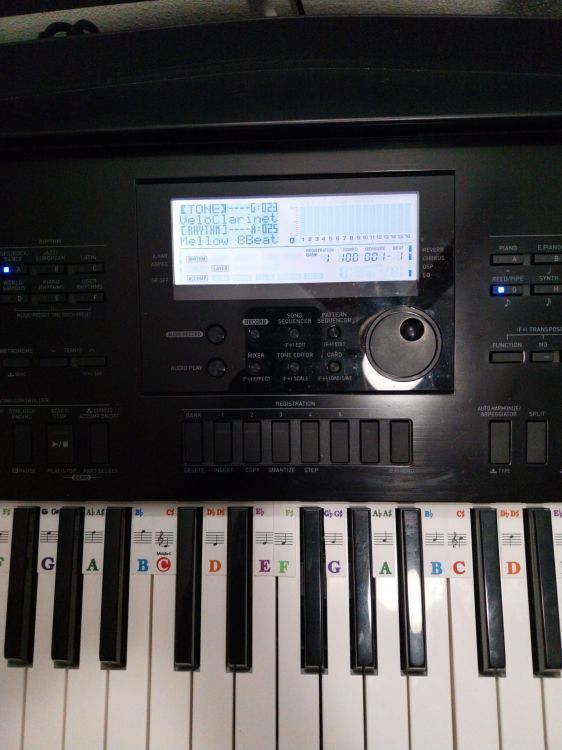 Casio WK-7600+pedal+sd2GB - Image2