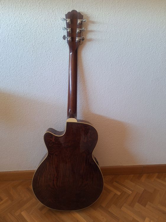 Guitarra Acústica "EA 18TS" - Immagine3