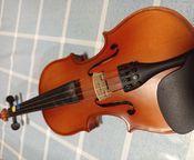 Violino 1/4 usato molto raramente
 - Immagine