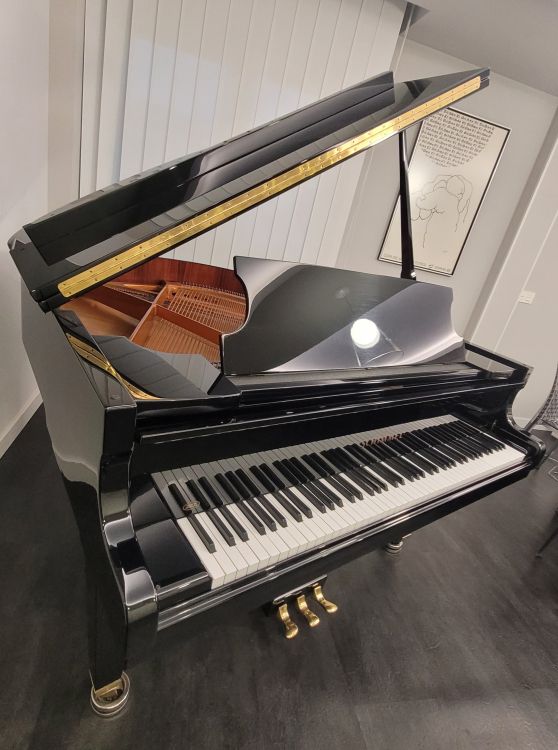 Piano Schimmel 150T - Immagine2