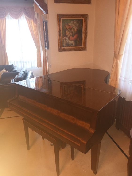 PIANO DE COLA PETROF MOD III - Immagine6