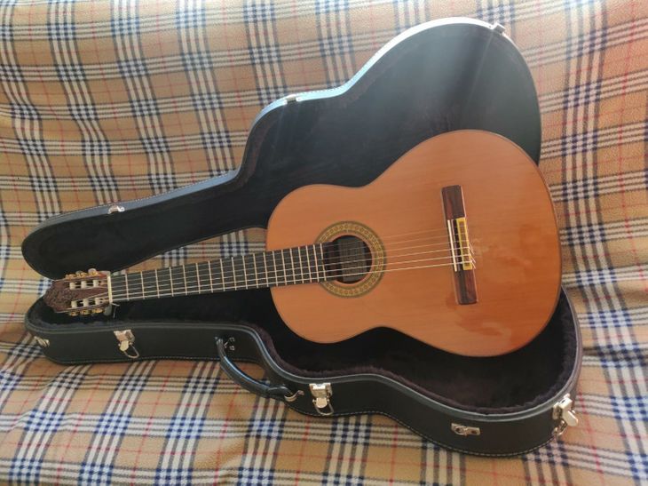 Guitarra Pedregosa | 1981 - Imagen por defecto