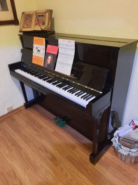 Piano de pared Marca HOHNER HP-116 - Imagen3