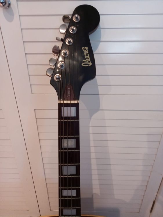 Ibanez Concorde mod. 647 - Immagine3