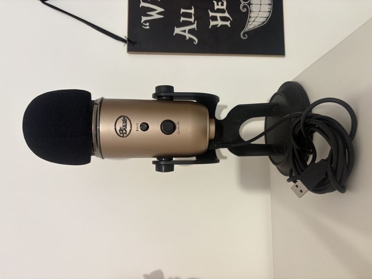 Blue Yeti copper con spugna inclusa - Immagine2