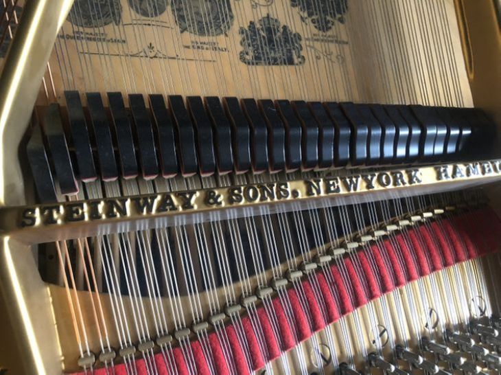 Steinway & Sons piano de cola 170 Modelo M 268657 - Immagine3