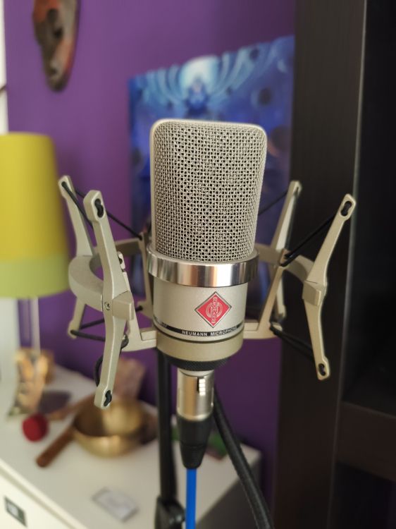 Neumann TLM 102 mit spinne - Imagen por defecto