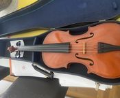 Klassische Geige der Marke Reghin
 - Bild