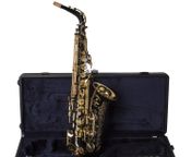 Saxophone alto Yamaha YAS-82ZII série personnalisée
 - Image
