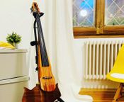 5 string electric cello
 - Image
