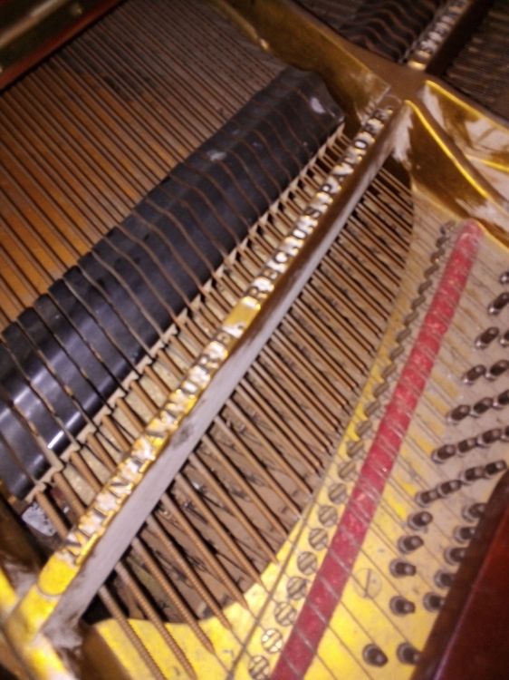 Piano Steinway & Sons de media cola (190cm.) - Immagine6