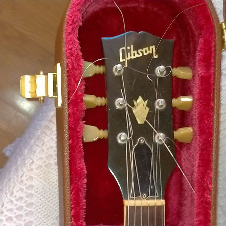 Vendo Gibson es335 tdc - Immagine2