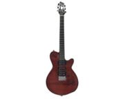 Godin XTSA
 - Image