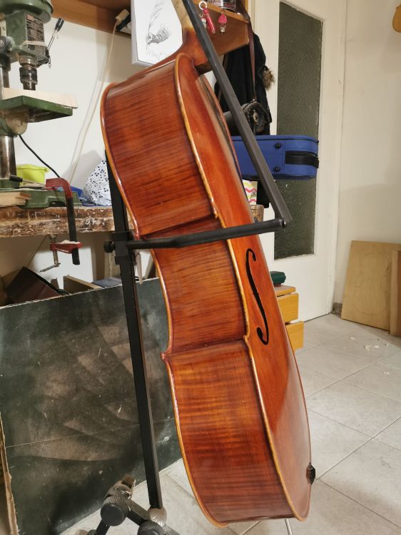 Violoncello del  liutaio Maurizio Preseglio - Immagine2