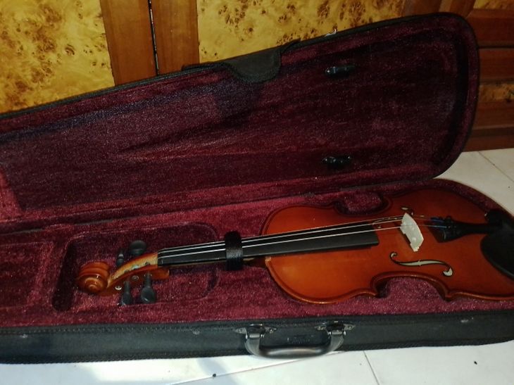 2 violines (distintos tamaños) - Imagen4