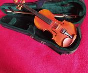 Geige Eschini Espresivo - Bild