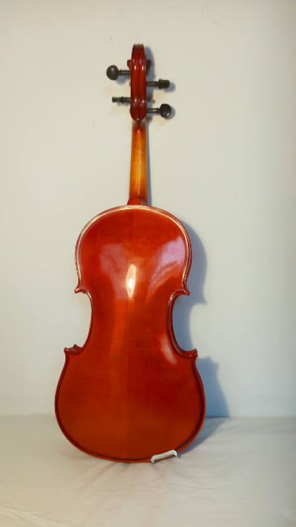 VIOLA 15 PULGADAS - Image5