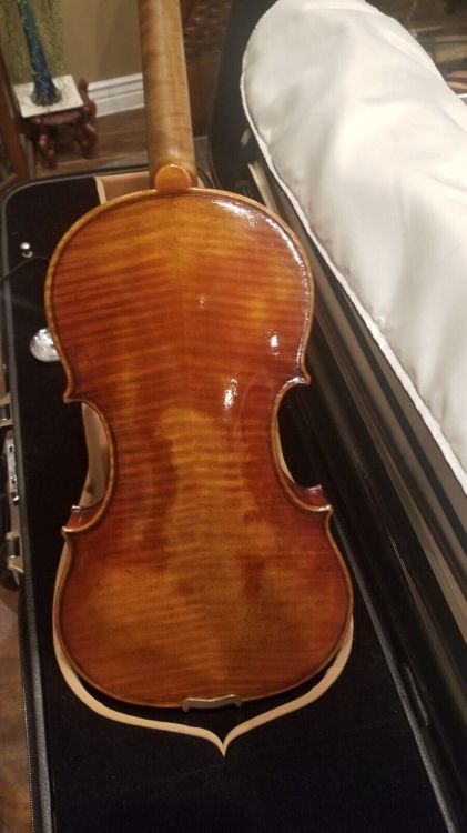 Carlo Lamberti Guarneri Violine LV20 4/4 w/ - Bild2