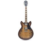 Ibanez asv10a-tcl-12-01
 - Immagine