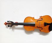 Jay Haide Professional Viola for Sale
 - Image