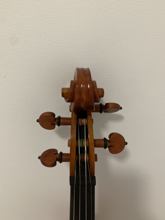 Violin 4/4 luthier - Immagine5