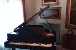 Pianoforte a coda Bösendorfer mateicola 5854 - Image