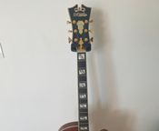 D'Angelico DeLuxe 175 LE
 - Immagine