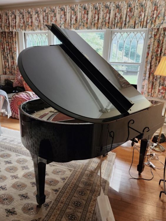 Steinway and sons model M 5’7” - Image3