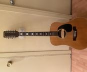 Suzuki 12 string acoustic guitar
 - Image