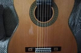 VENDO GUITARRA CLÁSICA AUTOAMPLIFICADA - Imagen