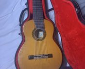 Milagro Concert 10-string classical guitar
 - Image