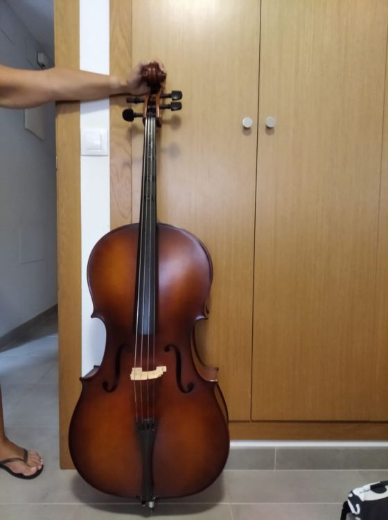 VIOLONCHELO 4/4 - Imagen2