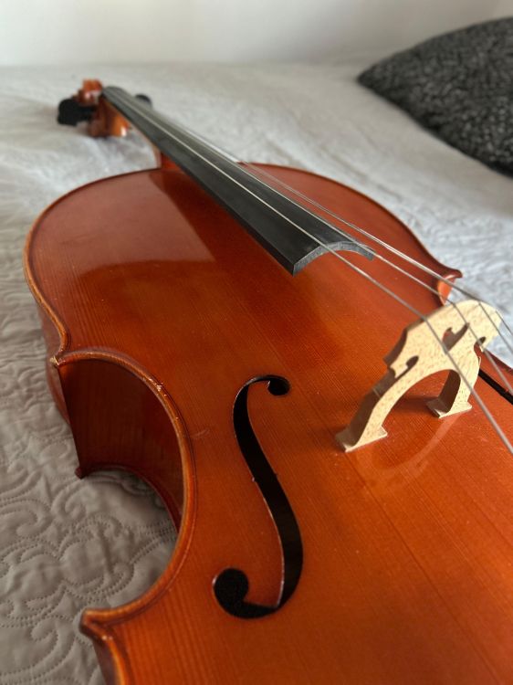 Vendo violonchelo profesional - Imagen por defecto