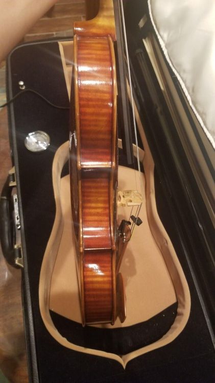 Carlo Lamberti Guarneri Violine LV20 4/4 w/ - Bild3