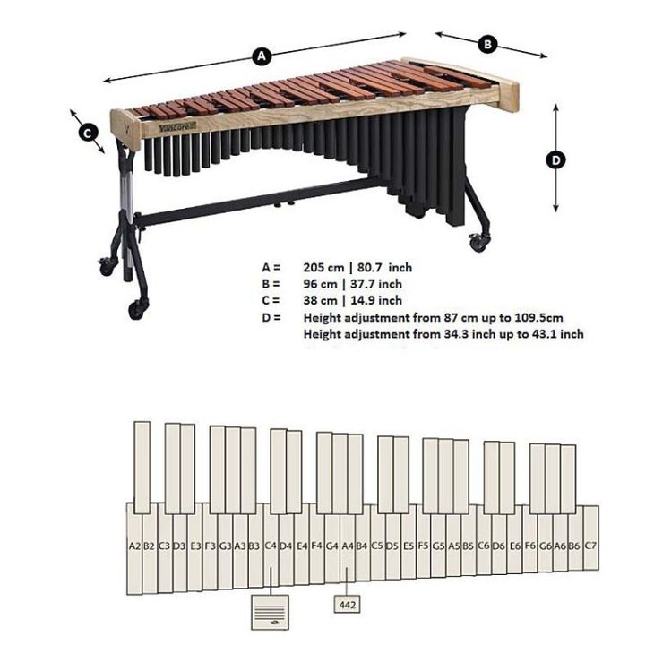 PRECIOSA MARIMBA DE ESTUDIO - Imagen por defecto