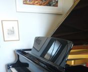 Je vends un piano à queue Petrof 1,92 m.
 - Image