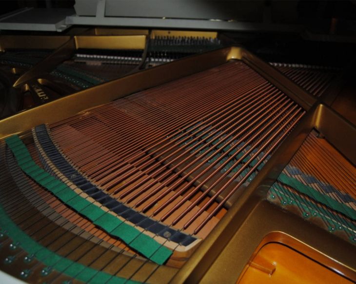 Piano cola Shimmel 150 E - Immagine3