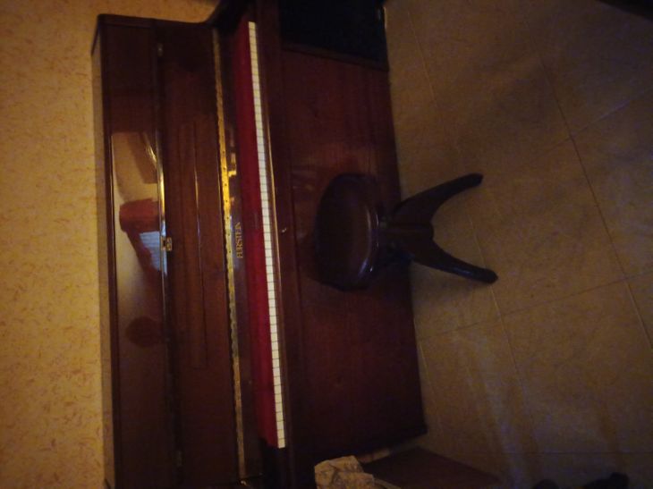 PIANOFORTE FURSTEIN - Image3