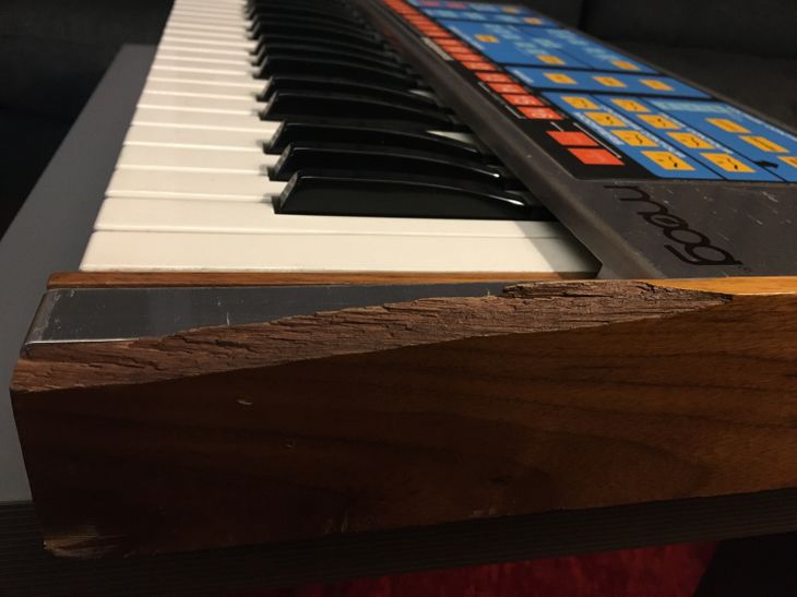 Moog The Source - Imagen6