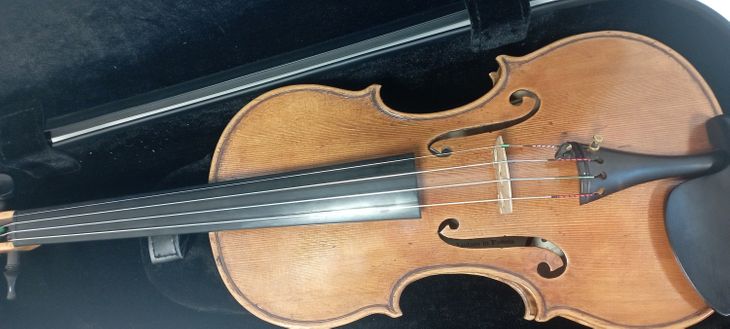 Violin 4/4 Luigi Ercoli - Imagen2