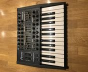 Arturia Minibrute
 - Bild