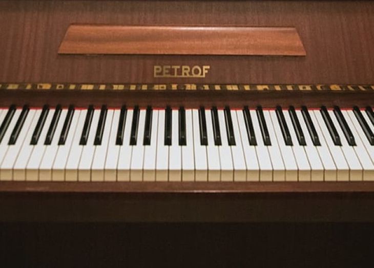 vendo piano Petrof - Immagine4