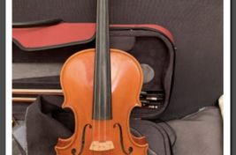 Viola de estudio Gryska 3000€
 - Imagen