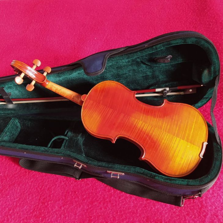 Geige Eschini Espresivo - Bild3
