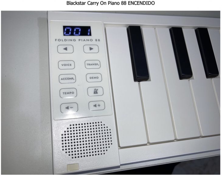 Blackstar Carry on Piano 88 Portátil Plegable - Imagen2